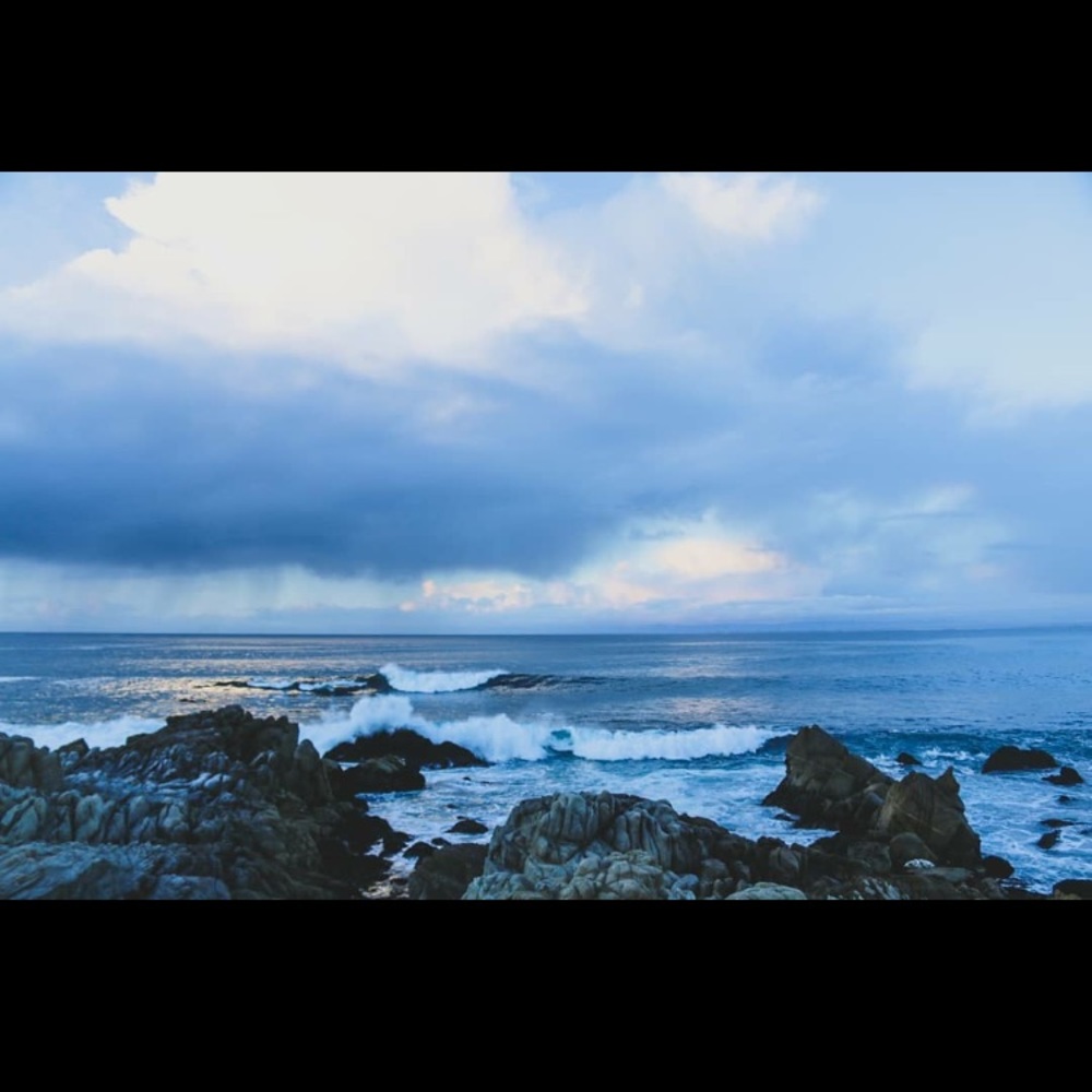 Meet your Posher, Jaimee